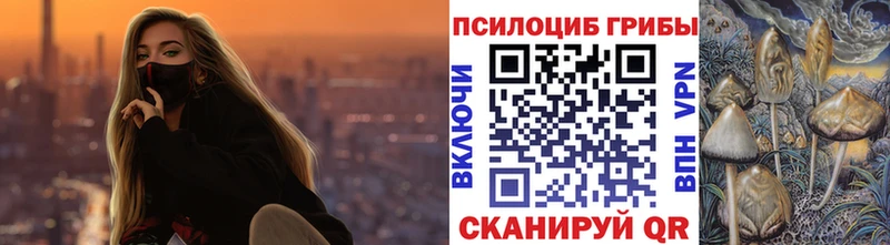 Псилоцибиновые грибы Psilocybe  Новокубанск 